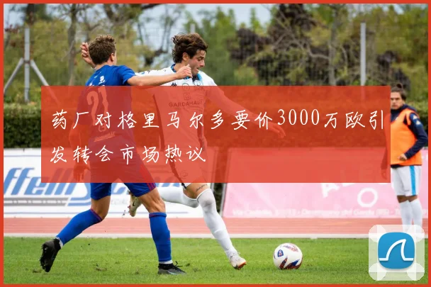 药厂对格里马尔多要价3000万欧引发转会市场热议
